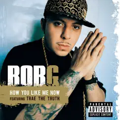 How You Like Me Now (feat. Trae the Truth) Song Lyrics