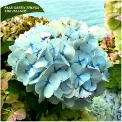 The Islands - Single by Pale Green Things album reviews, ratings, credits