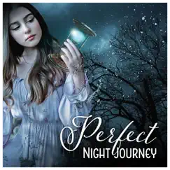 Perfect Night Journey: More Content, Nightly Ritual, Delightful Soundscapes, Dreamy Dimension, Easy-Going by Bedtime Songs Sanctuary album reviews, ratings, credits