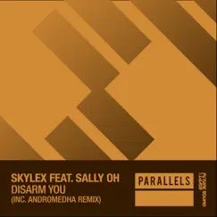 Disarm You (Andromedha Extended Remix) [feat. Sally Oh] Song Lyrics