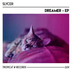 Dreamer - EP by Slycer album reviews, ratings, credits
