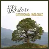 Restore Emotional Balance – Mental Coaching, Keep Up Your Inner Vibration, Breath of Freedom, Develop Resilience for Stress album lyrics, reviews, download