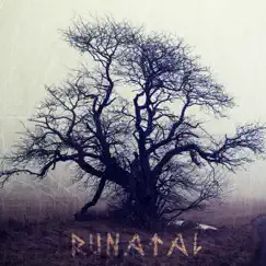 Runatal (feat. Sigurbodi) - Single by Danheim album reviews, ratings, credits