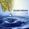 Heilende Geräusche der Natur vol. 2 – Tiefenentspannung, Wellness & Regeneration, Musik für Massage album lyrics, reviews, download