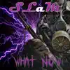 What Now - EP album lyrics, reviews, download