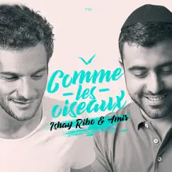 Comme Les Oiseaux - Single by Ishay Ribo & Amir album reviews, ratings, credits