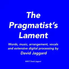 The Pragmatist's Lament Song Lyrics