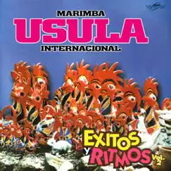 Éxitos y Ritmos Vol. 2 by Marimba Usula Internacional album reviews, ratings, credits