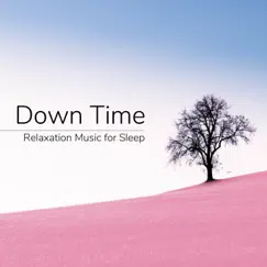 Down Time 20 - Relaxation Music for Sleep Stress and Anxiety Relief by Zen Music Garden & Asian Zen Spa Music Meditation album reviews, ratings, credits