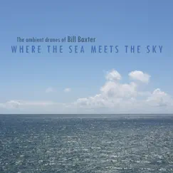 Where the Sea Meets the Sky by The Ambient Drones of Bill Baxter album reviews, ratings, credits