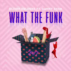 What the Funk (feat. Danny Shah) Song Lyrics