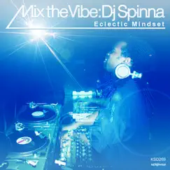 Mix the Vibe: Eclectic Mindset by DJ Spinna album reviews, ratings, credits