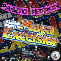 Pasito Perron - Single by Marimba Orquesta Maya Excelsior album reviews, ratings, credits