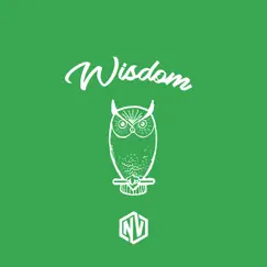 Wisdom - Single by Nick Vig album reviews, ratings, credits