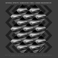 Submarine Vibes/Green Meadows by Several Spirits album reviews, ratings, credits