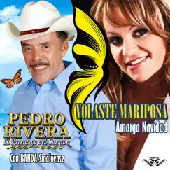 Volaste Mariposa by Pedro Rivera album reviews, ratings, credits