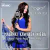 Maleńki Kawałek Nieba (Patryk Pegza Remix After Party) - Single album lyrics, reviews, download