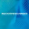 Meditación Música Ambiente & Meditación Budista Academia album lyrics, reviews, download