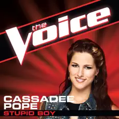 Stupid Boy (The Voice Performance) - Single by Cassadee Pope album reviews, ratings, credits