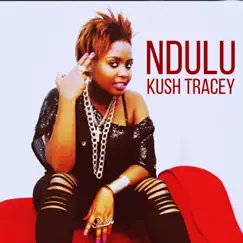 Ndulu (feat. Timmy Tdat) - Single by Kush Tracey album reviews, ratings, credits