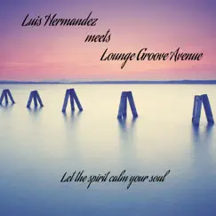 Luis Hermandez Meets Lounge Groove Avenue by Luis Hermandez & Lounge Groove Avenue album reviews, ratings, credits