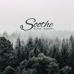 Soothe: Soul, Mind, Relaxing and Healing Music for Mindfulness Meditation, Reiki, Yoga, Inner Relaxation, Nature Sounds for Serenity and Calmness by Zen Soothing Sounds of Nature album reviews, ratings, credits