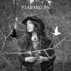 Ptarmigan - Single by Michelle Mandico album reviews, ratings, credits