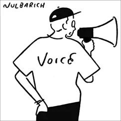 Voice - Single by Nulbarich album reviews, ratings, credits