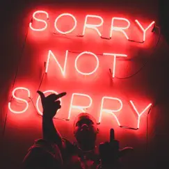Sorry Not Sorry by Zoey Dollaz album reviews, ratings, credits