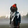 Way Up (feat. Kassy Levels) - Single album lyrics, reviews, download