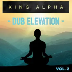 Dub Elevation Vol. 2 by King Alpha album reviews, ratings, credits