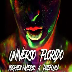Universo Florido (feat. DrefQuila) - Single by Dsorden Invierbo album reviews, ratings, credits