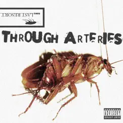 Last Resort - Single by Through Arteries album reviews, ratings, credits