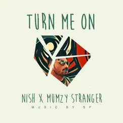 Turn Me on (feat. Mumzy Stranger) Song Lyrics