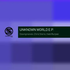 Unknown World by Chris Sterio, Downgrooves & Hadi Burpee album reviews, ratings, credits