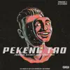 Pekeng Tao (feat. JWalker, SycoGee, Dan, Rod & JMix) - Single album lyrics, reviews, download