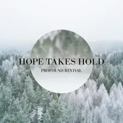Hope Takes Hold by Profound Revival album reviews, ratings, credits