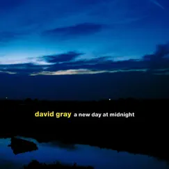 A New Day at Midnight by David Gray album reviews, ratings, credits