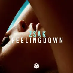 Feeling Down - Single by Zsak album reviews, ratings, credits