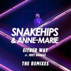 Either Way (feat. Joey Bada$$) [The Remixes] - Single by Snakehips & Anne-Marie album reviews, ratings, credits