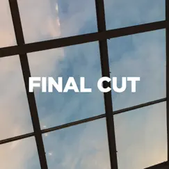 Final Cut - Single by DJ Who Named album reviews, ratings, credits