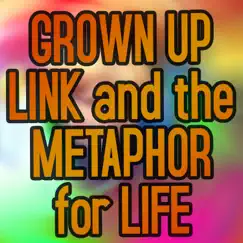 Grown Up Link and the Metaphor for Life Song Lyrics