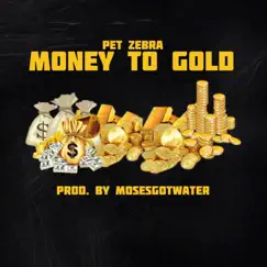 Money to Gold - Single by Pet Zebra album reviews, ratings, credits