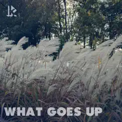 What Goes Up - Single by Lewis Knudsen album reviews, ratings, credits
