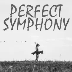 Perfect Symphony (Instrumental) Song Lyrics