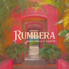Rumbera Song Lyrics