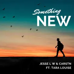 Something New (feat. Tara Louise) - Single by Jesse L W & CARSTN album reviews, ratings, credits