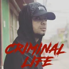 Criminal Life Song Lyrics