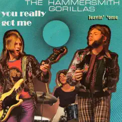 You Really Got Me - Single by The Hammersmith Gorillas album reviews, ratings, credits