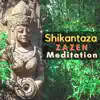 Shikantaza Zazen Meditation - 20 Songs to Relax album lyrics, reviews, download